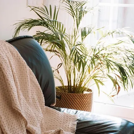 Just Like - Casinha Da Em Appartement