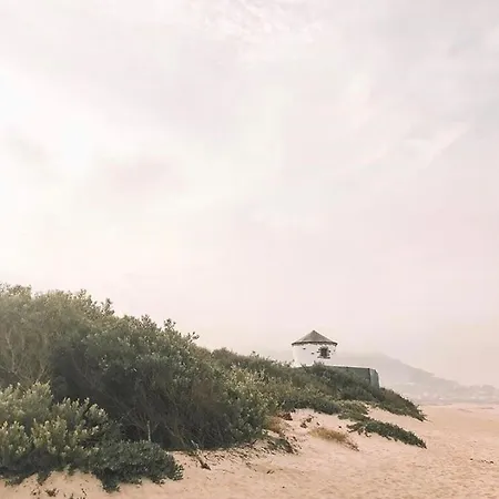 Just Like - Casinha Da Em