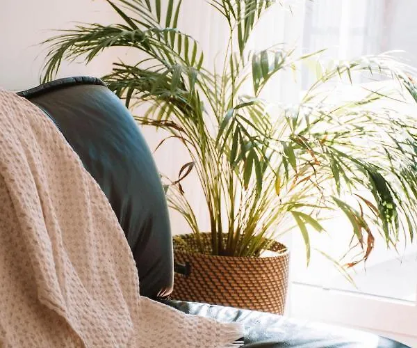 Just Like - Casinha Da Em 公寓